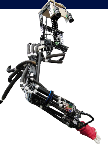 musculoskeletal robot arm